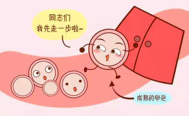 广州世纪助孕骗局[供卵合法吗?],河北供卵试管婴：北京供卵试管婴儿